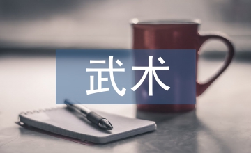 學前教育中吸納武術教學反思分析