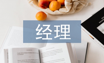 保險(xiǎn)公司經(jīng)理總結(jié)