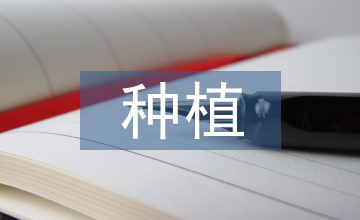 竹柳種植新技術在荒漠和鹽堿地的應用