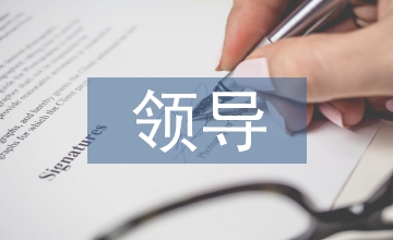 領導個人業績匯報材料