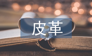 木雕與皮革的結(jié)合運(yùn)用