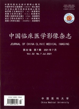 臨床醫學影像