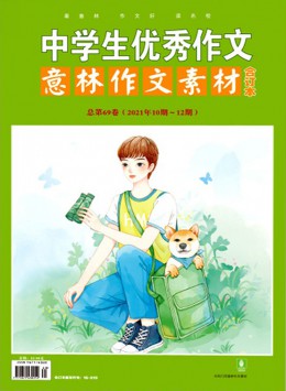 中學生優(yōu)秀作文雜志