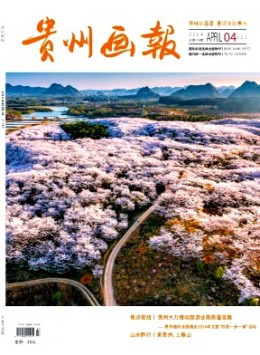 貴州畫報雜志