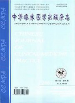 中華臨床醫學實踐雜志